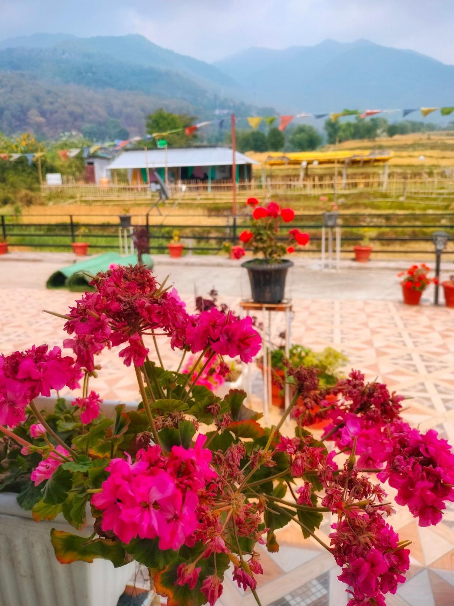 Raahi Stay, Landing Site Bir - Stay & Cafe Bīr Exterior foto